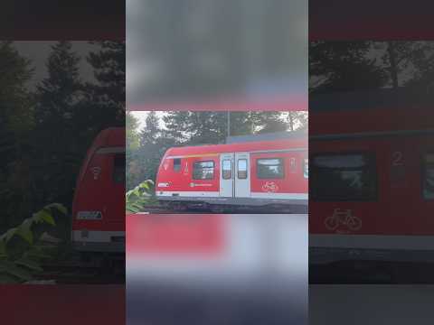 S3 kommt aus Bad Soden auf die Kronberger Bahn
