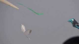 preview picture of video 'Kite flying competition'