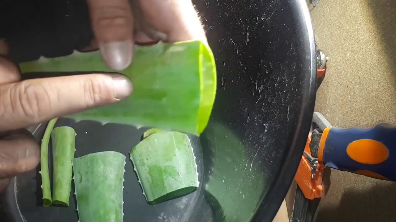 como hacer tu propia Crema de Aloe Vera de forma casera así de fácil y muy básica