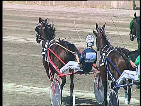 Trotto 29/04/2016 - 3° Corsa