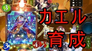 【シャドウバース】ガウェインが禁止？じゃあカエル育てるわ【旅ガエル】