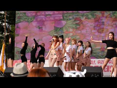 190901 달빛소녀 - Go Go Up 전체 고정 직캠/Fancam by Tempest [육우구이데이페스티벌]