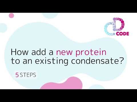 How to add a new protein to an existing condensate?