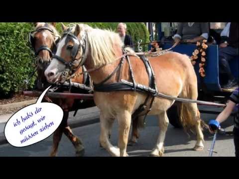 Rodenkircher Markt 2007 Festumzug, Marktbilder und Feuerwerk - Rodenkirchen
