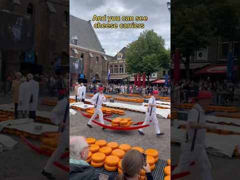 Cheese market in Alkmaar