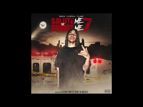 Waka Flocka "Steve Aoki" (Official Audio)