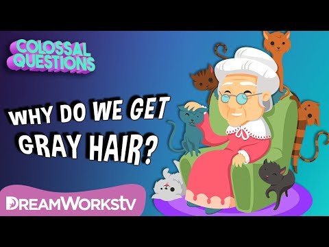 Why Does Your Hair Turn Gray? | COLOSSAL QUESTIONS