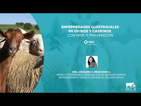 , title : 'Enfermedades clostridiales en ovinos y caprinos, control y prevención.'