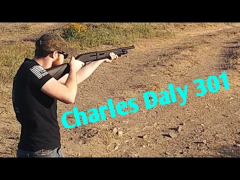 Charles Daly 301 Tactical/Field 12 Gauge: Affordable Versatility Pump Shotgun Review