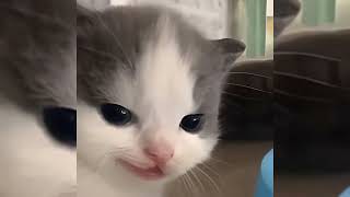 Download lagu feels (speed up) mp3 Download lagu feels (speed up) mp3