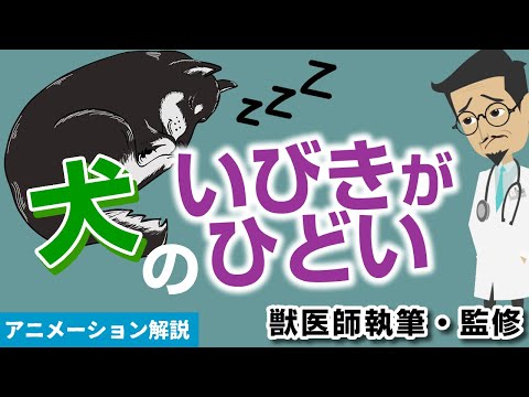 犬のいびき:一体何が原因なのでしょうか?
