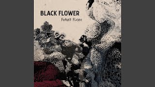 Music video thumbnail preview for Hora de Aksum by Black Flower