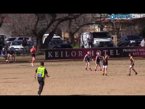 2016 EDFL - Under 10 Div 2 Grand Final - Essendon Doutta Stars highlights