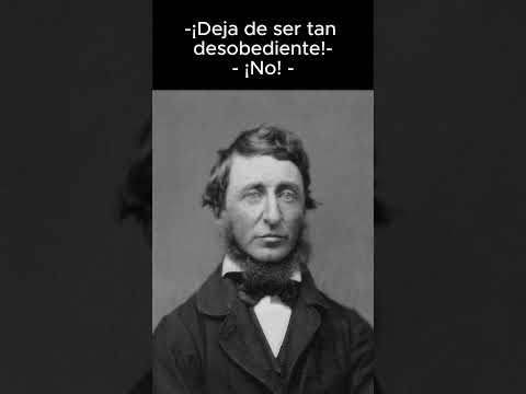 Desobediencia civil #Filosofia #Humor #Comedia #Memes