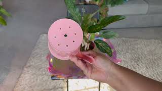 DIY Plant Pot Using a Soldering Iron + Easy Aglaonema Propagation