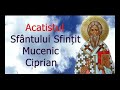 Acatistul Sfântului Sfințit Mucenic Ciprian 2 Octombrie Slujitor Dani