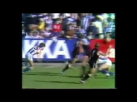 1980 Round 17 - Carlton Highlights