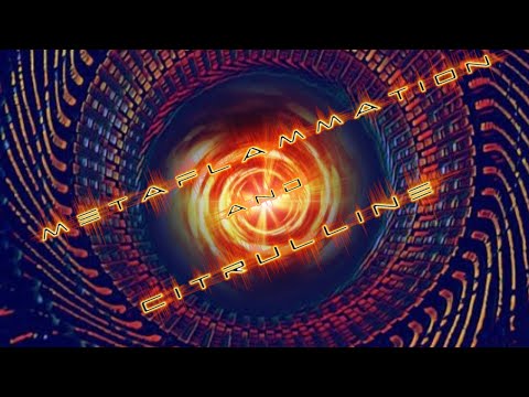 Metaflammation and Citrulline