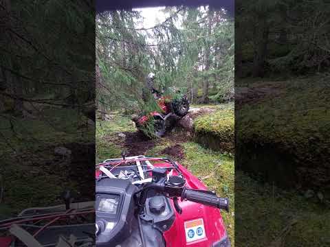 Honda 420fe Itp mudlite 30\"