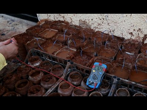 Alternative Energie: Strom aus Erde, Wasser und Essig | AFP