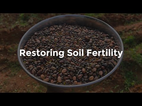 🌱 Natural Way to Restore Soil Fertility 🌱| EkamHarvest