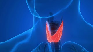 Reportage de Brigitte Fanny Cohen sur France 2 sur La Thyroïdectomie sans Cicatrice ( TOETVA )