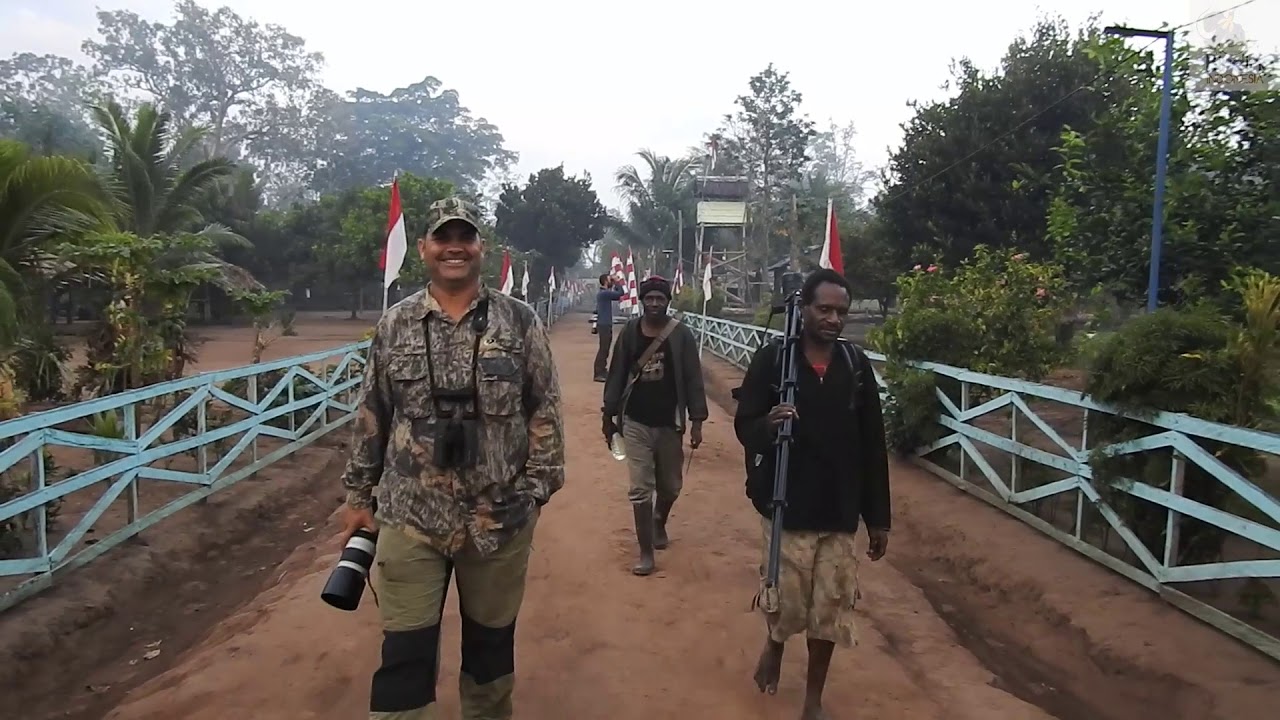 Birding in Merauke, South New Guinea, Indonesia