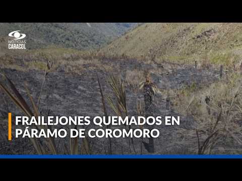 Crítica situación en sur del Cauca por falta de agua: páramos incendiados y quebradas secas