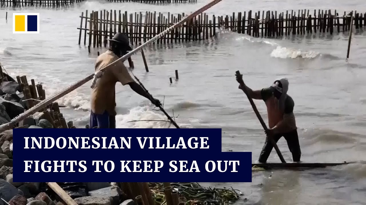 The Indonesian village being swallowed by the sea