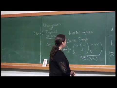 Tropical Geometry in the Tropics - Medrano