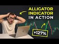 The Only Alligator Indicator Trading Video You Will Ever Need Binomo Trading Strategy