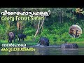 Coorg Forest Veeranahossahalli Safari In Nagarhole Tiger Reserve