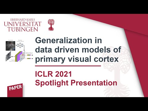 Generalization in data-driven models of primary visual cortex (ICLR 2021 Spotlight)