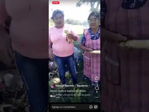 asando elotes en san agustin amatengo