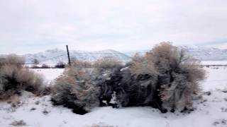 Richmond Fontaine - Whitey And Me