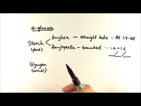 AS Biology - α-glucose structures (OCR A Chapter 3.3)