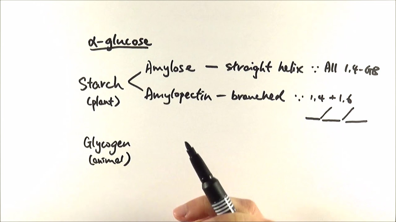 AS Biology - α-glucose structures (OCR A Chapter 3.3)
