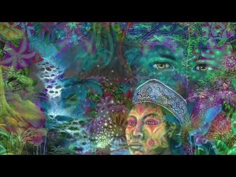 🎼 Mimosas Flores ⭐ Prem Baba 🌎 Caminho sem Fronteiras