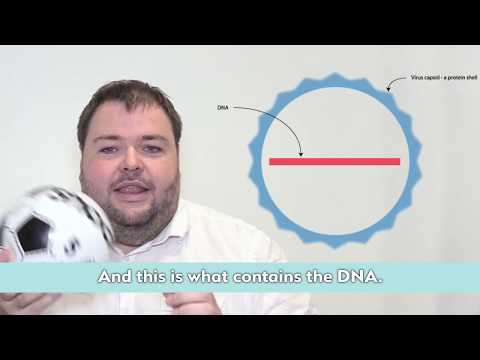 Duchenne Research Explained: Gene Therapy Series, Episode 2