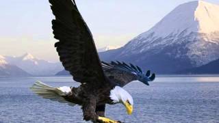 Wings of Eagles