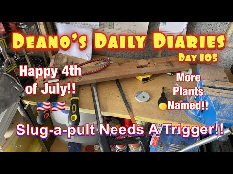 Deano’s Daily Diary Day 105 - A Trigger For The Slug a pult.