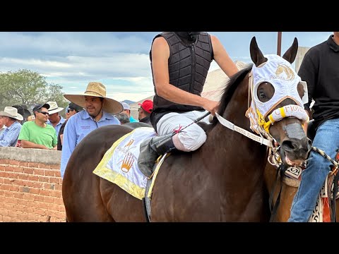 Semifinal- El Jefe Vs Tremenda (Llegando De Atrás a Ganar)