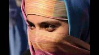 Afghan Woman by Tyrannosaurus Rex