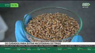 Miniatura do vídeo