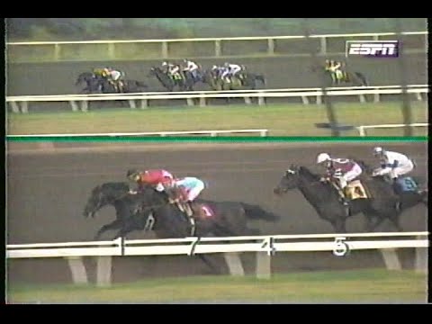 ESPN Race Horse Digest - December 6th 1994