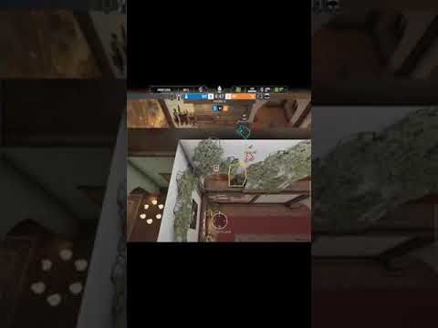 Shaiiko BIGBRAIN - Rainbow Six Siege #Shorts