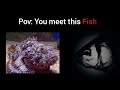 POV You Meet This Fish Fish Becoming Uncanny