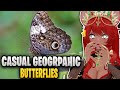 Butterflies Are NOT Your Friend Casual Geographic Reaction