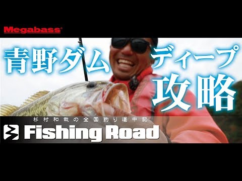 Vobler Megabass Deep-Six 8cm 24.5g Strike Chart F