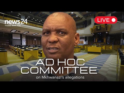 WATCH LIVE | Senzo Mchunu's chief of staff Cedric Nkabinde appears before Ad Hoc Committee